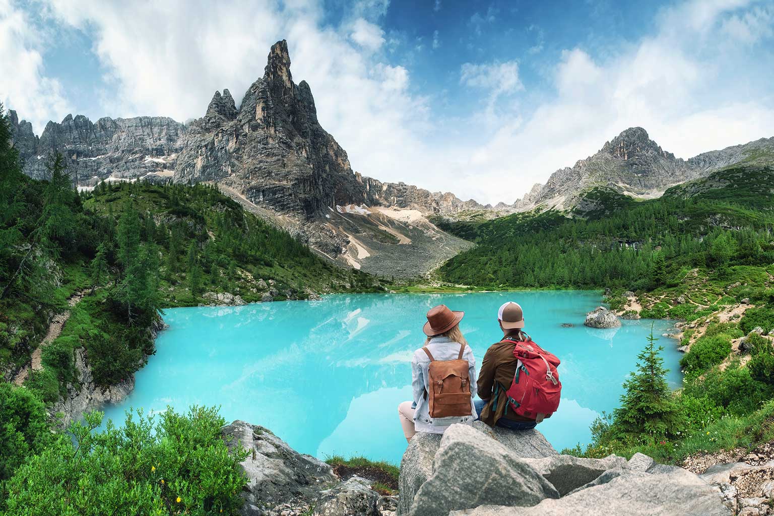 The Beauty of The Soematra Forest & Stories